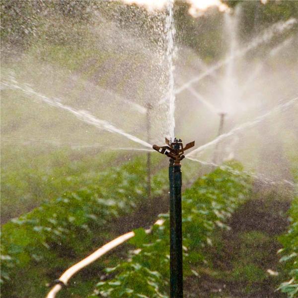 Irrigation Management (Horticultural)
