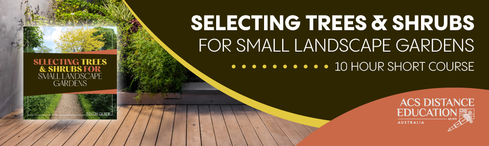 Choosing the Best Plant to Plant