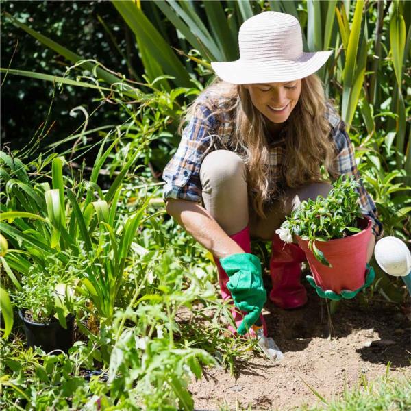 Foundation Certificate in Plant Growth for Horticulture Level 3