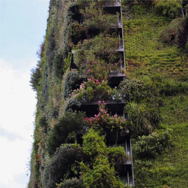 Green Walls and Roofs