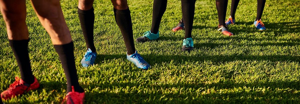 Starting a Lawn Care Business: Why Turf Knowledge Matters