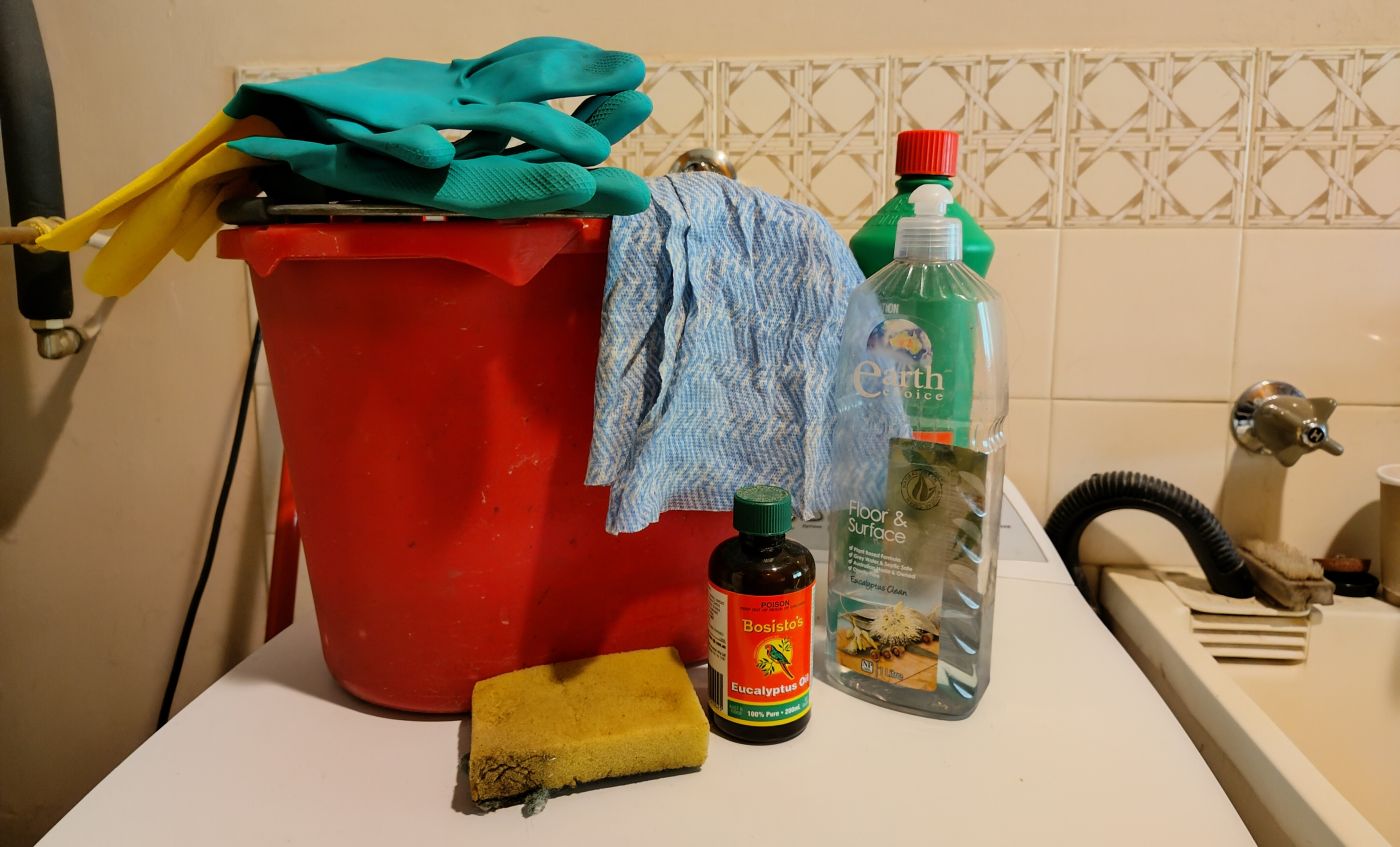 Working Towards a Cleaner Future